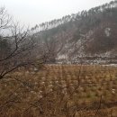 서윤농원