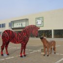 맥아트미술관 이미지