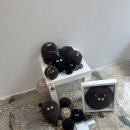 포항청년작가회 정기전 | 포항 꿈틀로 ㅣ 포항청년작가회 정기전, 갤러리443, 골목식당 덮죽