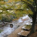 천탑마을 이미지