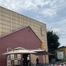 광판팔뚝김밥교대점 이미지