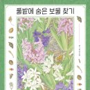 숨은보물찾기