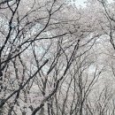 연암도서관 이미지