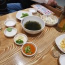 미스터오징어 이미지