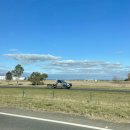 큰곰자리부동산중개그룹 | 호주 Day 2-2 (멜버른 펭귄투어 꿀팁, 마루 동물원 쿼카, 조이 투어 후기, 펭귄 퍼레이드 추천)