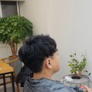 뽀글이헤어앞 | 부산 서면역 미용실 2026 남자 머리 펌 추천 헤어샵