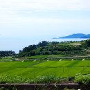 사포산촌생태마을 이미지