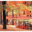 전주 하늘 이미지