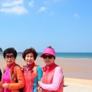 대천