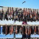 대명수산 이미지