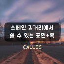 스페인 길거리(Calles)에서 쓸 수 있는 표현+욕