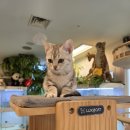 해피주 수원점 이미지