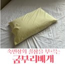 굼부리 - 5636 | 숙면상회 꿀잠을 부르는 메밀베개 굼부리베개 사용후기