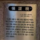 남천1-221 이미지