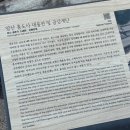 평산마을길 | 📖 평산책방 &amp; 통도사 :: 평화로운 가을 경남 나들이 (소금쟁이 라멘, 백리원)