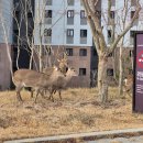 전라남도 순천시의 한 아파트단지 근황 이미지