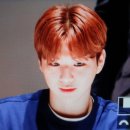 켈빈클라인진
