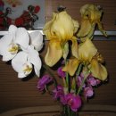 (주)태양비료 이미지