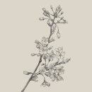 디자인태그 이미지