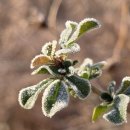 두루봉농원 이미지