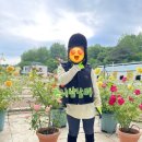 통도승마랜드 이미지