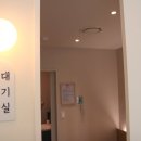 채움동물의료센터 네이버블로그