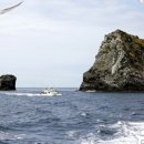 크루즈모텔 이미지