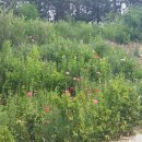 우미현장식당 이미지