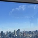 [내돈내산]도쿄여행🗼_티켓 예약편_시부야 스카이, 도쿄 지하철 패스, 후지산 일일 투어_클룩(광고 X)