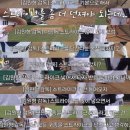 가자 펫 택시 | 2월 4주차 주간일기