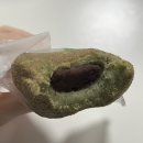 도미노피자연희점 | 행복은 아무리 낮은 곳에서라도 시작할 수 있는 법이야
