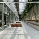 ACC 산책 이미지