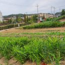 부평둘레길 이미지