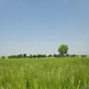 한식카페346.4S | [함안 맛집] . 346.4S 함안카페 한식맛집 내돈내산후기