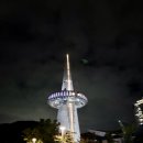 엑스포과학공원 | 대전여행 엑스포 과학공원 꿈돌이하우스 2호점 야경명소 음악분수 한빛탑