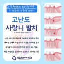 서울더편한치과의원 이미지