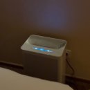 (주)호텔롯데 롯데시티호텔대전 | 대전 숙소 추천 | 성심당 건너편 롯데시티호텔 대전 후기 ✨