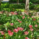 한택식물원주차장 이미지