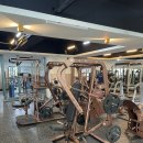 하파휘트니스 이미지