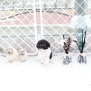 토이파티 이미지