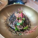 세종 베어트리파크 근처 맛집 &lt;고기냉면 을화옥&gt; 본점 :: 제주메밀100% 물막국수 들기름막국수