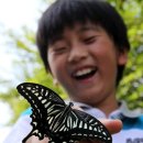 부산리 농장 이미지