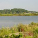 소래습지생태공원 이미지