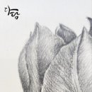 기초 보태니컬아트 기법 이미지