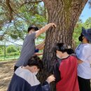 월촌초등학교 이미지