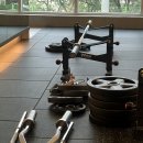 비기너 짐 | 월성동 PT 비기너짐 후기 ✨