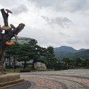 거창 창포원, 자연과 사람이 함께하는 친환경 정원