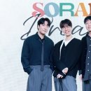 소란 노컷뉴스