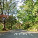 가위박물관 이미지