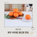 부자마트 | 가성비 명절선물 추천 제주 부자팜 레드향 내돈내먹 후기